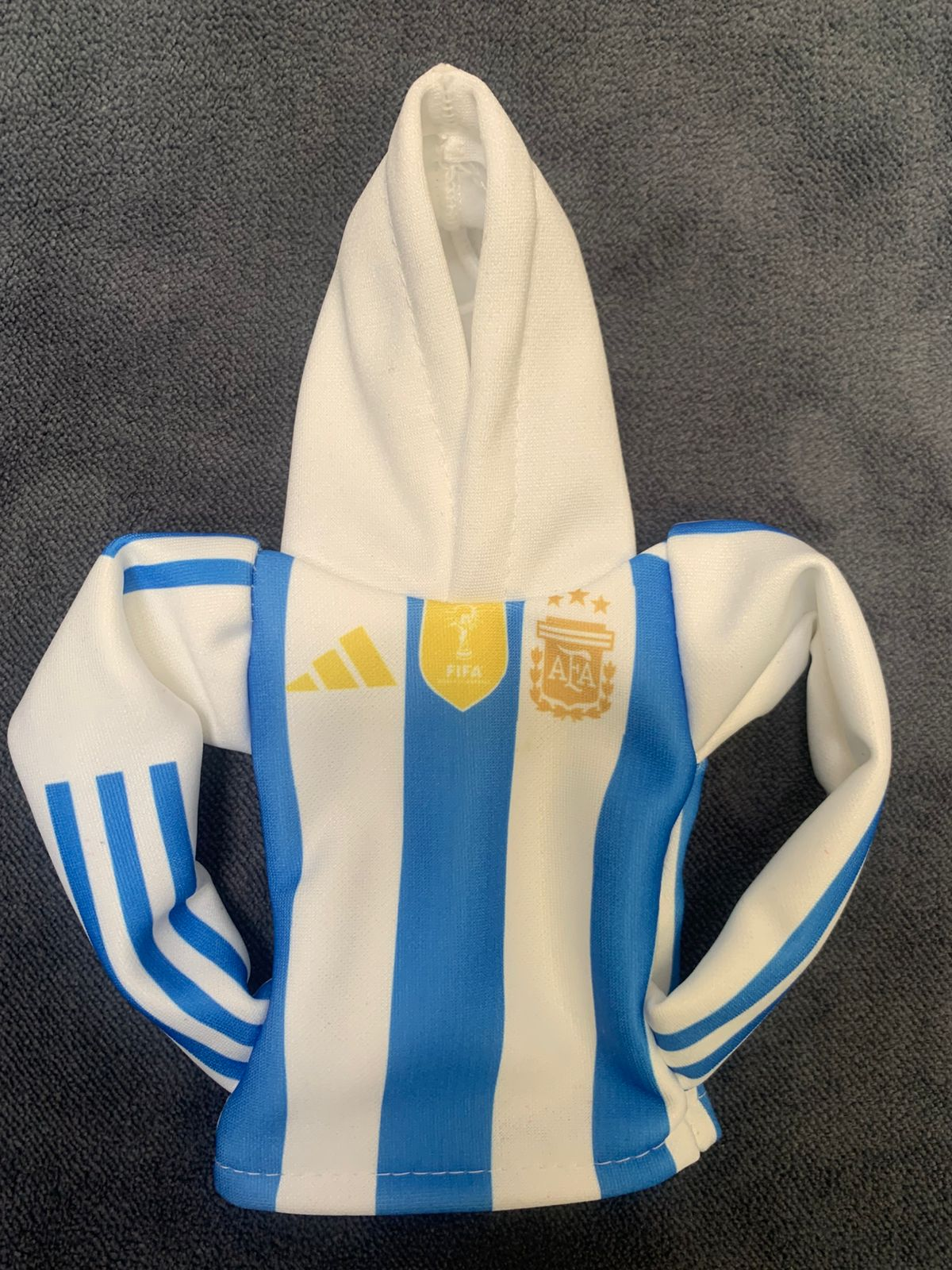 Imagen ilustrativa de BUZO ARGENTINA
