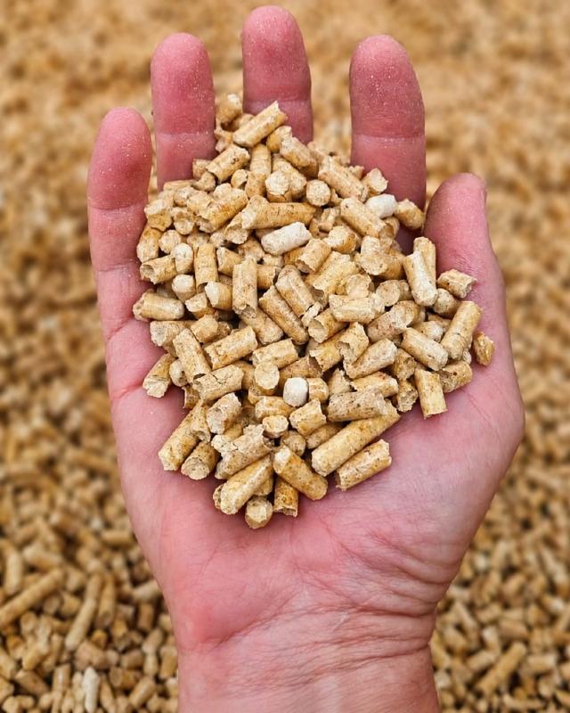 Imagen ilustrativa de Pellets premium (Mayorista Pallets y tienda mínimo 10 bolsas)