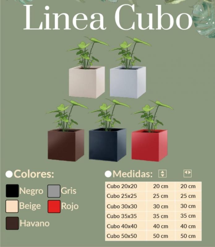 Imagen ilustrativa de CUBO 25