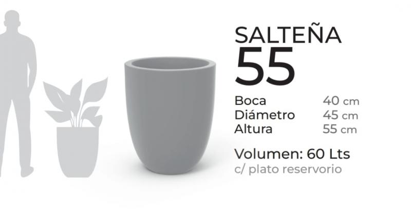 Imagen ilustrativa de Salteña 55cm con plato