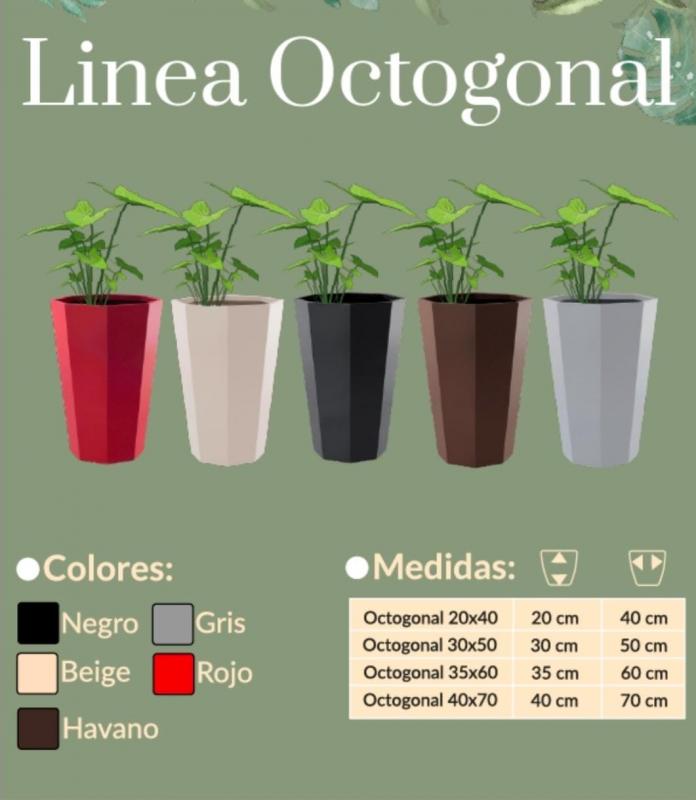 Imagen ilustrativa de OCTOGONAL 35X60