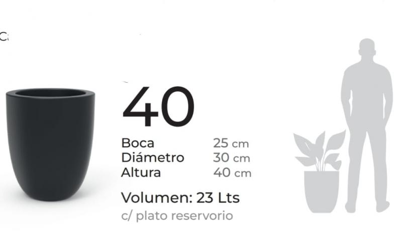 Imagen ilustrativa de Salteña 40cm con plato