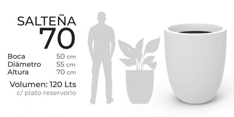 Imagen ilustrativa de Salteña 70cm con plato