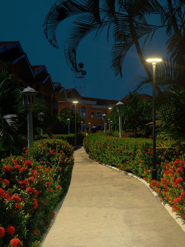 Imagen ilustrativa de FAROLA LED SOLAR LX050